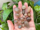 Bild 7 von 10