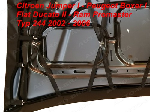 Carbon Vollbra BRA für Ducato Jumper Boxer Promaster 2002-2006 Steinschlagschutz - Picture 6 of 7