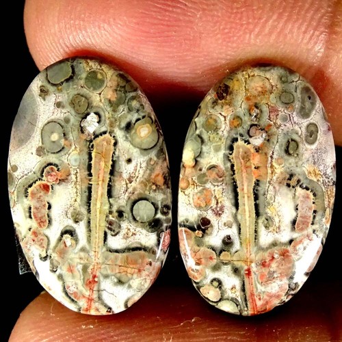 Natural Bird Eye Jasper Matched Pair Oval Pear Cushion Cab Loose Gemstone PK14 - Imagen 120 de 165