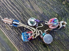 SG Harness Custom Wired / Varitone Switch, Bass Cut Pot Solderless KellingSound