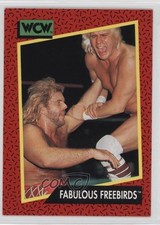 1991 Impel WCW Fabulous Freebirds Michael Hayes Jimmy Garvin #117 ac8