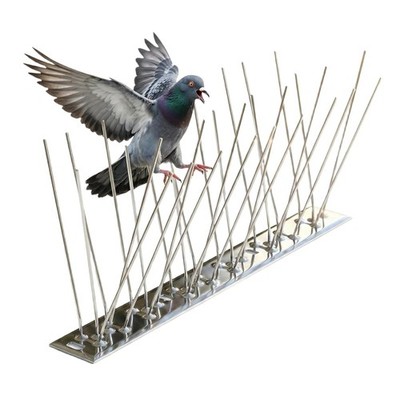 Stainless Steel Bird Spikes Pigeon Deterrent Repellent Spikes 12 Packs 10 ft