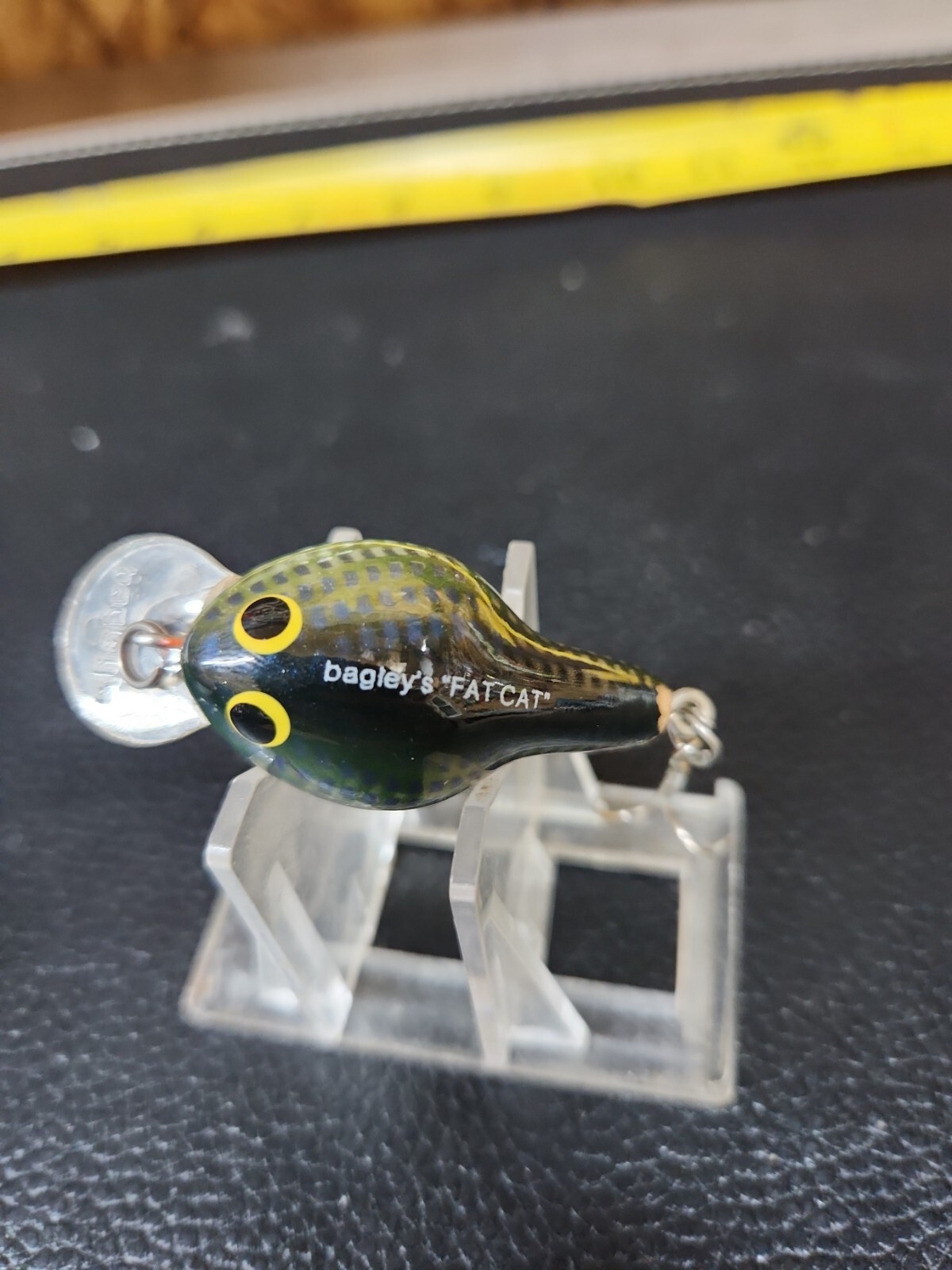 Bagley Fat Cat Lure Shallow eBay