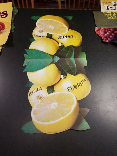 Vintage 26" Lebensmittelgeschäft Produkte Display Anzeige. Florida Grapefruit