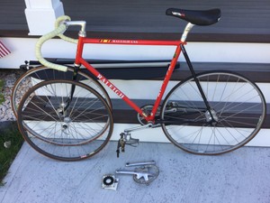 raleigh track bike