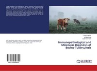 Immunopathological And Molecular Diagnosis Of Bovine Tuberculosis Langnyei Phom