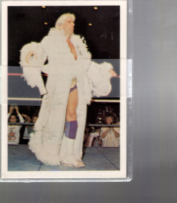 B8139- 1988 Wonderama NWA Wrestling Card #s 1-246 -You Pick- 15+ FREE US SHIP