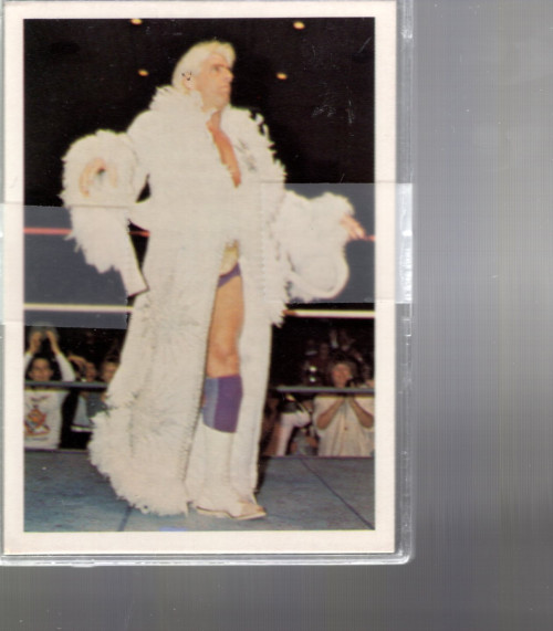 B8139- 1988 Wonderama NWA Wrestling Card #s 1-246 -You Pick- 15+ FREE US SHIP