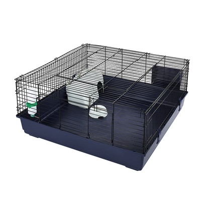 inside guinea pig cage