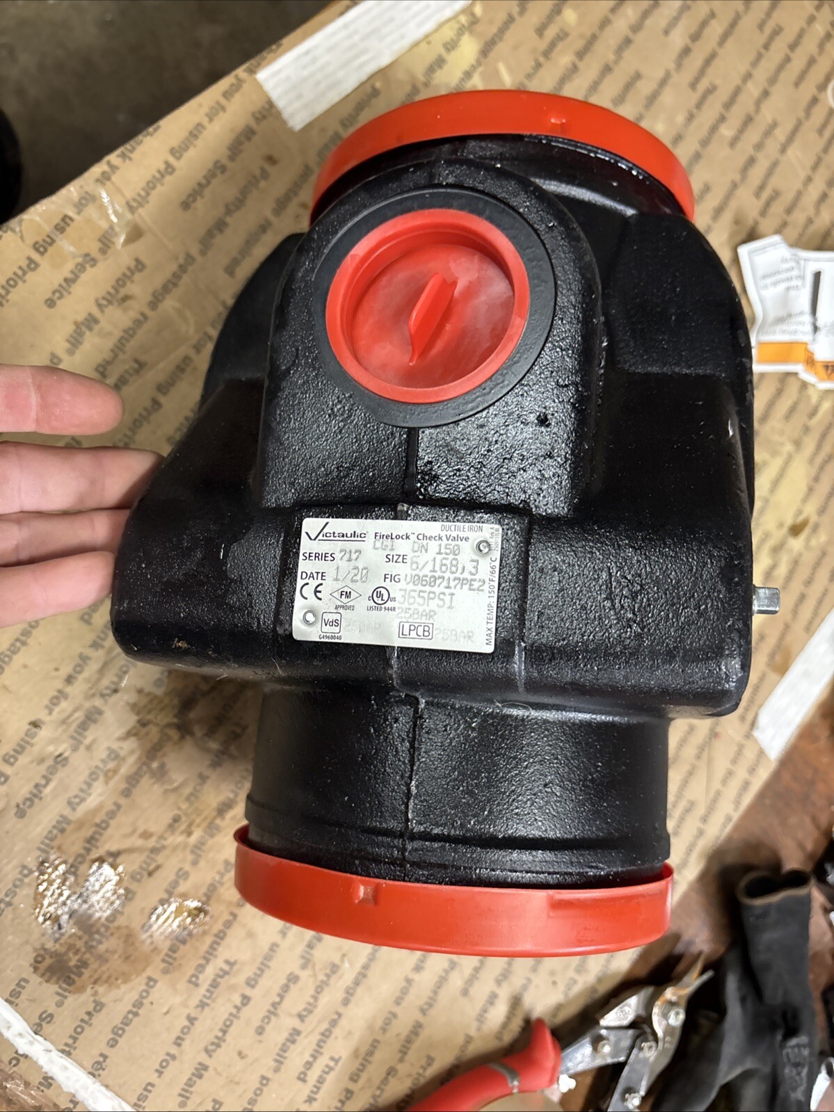 Victaulic V060717PE2  Series 716 Grooved Check Valve 6