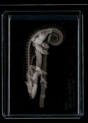 2024 Topps Allen & Ginter X-Ray'd #XR-2 Mellers Chameleon - 18002