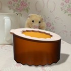 Foto 8 di 12