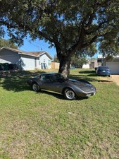 1978 Silver Chevrolet Corvette   | C3 Corvette Photo 1
