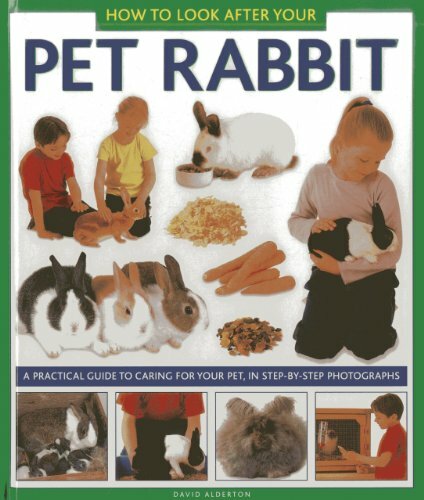 How to Look After Your Pet Rabbit: A Practical Guide to Caring for Your Pet, in