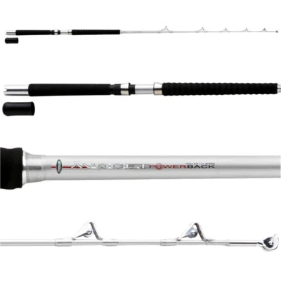 Mitchell Avocet PB 171 50/80 Roller 1,70M 50-80Lbs Trolling Pilk Rute Sha