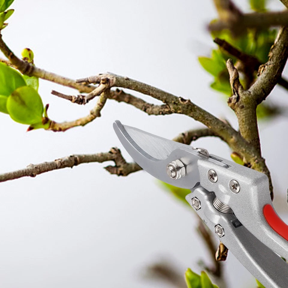 Enhanced 8 Inch Garden Shears with Comfortable Grip for Extended Tasks - Image 4 of 4