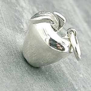 Tiffany Apple Charm | eBay