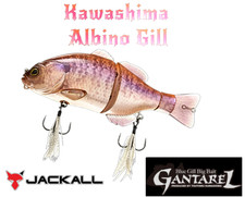 Jackall Gantarel Swimbait - RT KAWASHIMA ALBINO GILL -