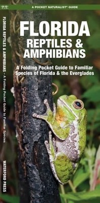 Florida Reptiles & Amphibians: A Folding Pocket Guide to Familiar Species of