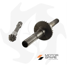 Coppia conica Pignone + Corona +Asse inferiore FRESA 22M Z:10/29 GOLDONI BG2130