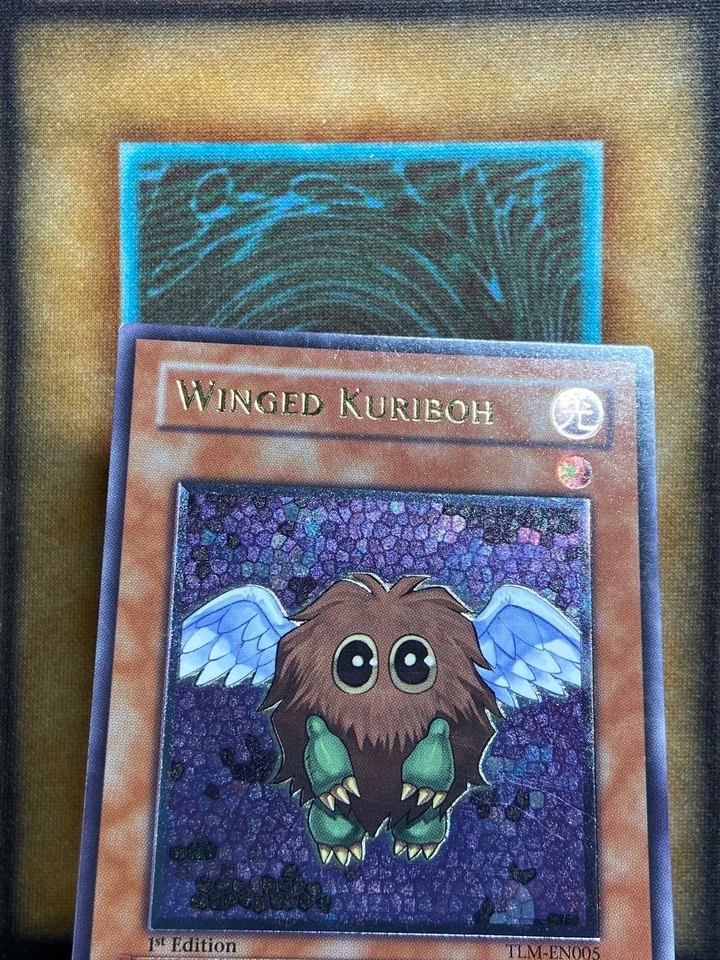 Yugioh Winged Kuriboh TLM-EN005 Ultimate Raro 1ª Edición EURO IMPRESIÓN CASI NUEVO Foto 2 de 4