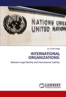 International Organizations: Between Legal Identity And International Liability.
