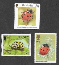 Beetles - Ladybirds  mnh collection 3 diff Nature