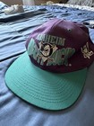 Vintage Disney Anaheim Ducks NHL Officially Licensed Hockey Cap One Size — photo 1