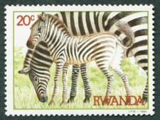 RWANDA 1984 20c SG1210 mint MH NG Common Zebras and African Buffaloes #B05