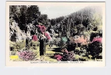 RPPC Real Photo Postcard Canada British Columbia Victoria Butchart Gardens Sunke