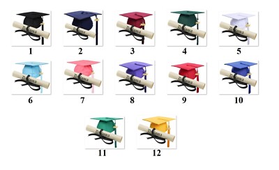 Personalized Address Labels Graduation Caps with Diploma 2024 (FA 57)