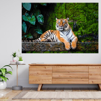 Tiger Löwe Dschungel Tier Raubkatze 3D Ansicht Wandsticker Poster Aufkleber A229