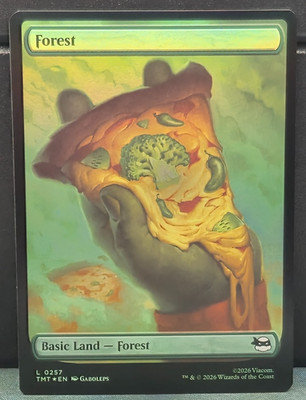 MTG ボックスland (Terres Natales) フランス語 s-l400.jpg