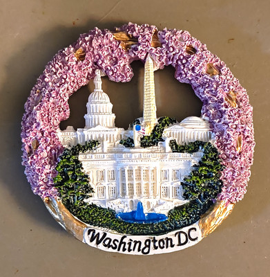 Washington DC Souvenir Fridge Magnet, Multicolor Resin, Asymmetrical