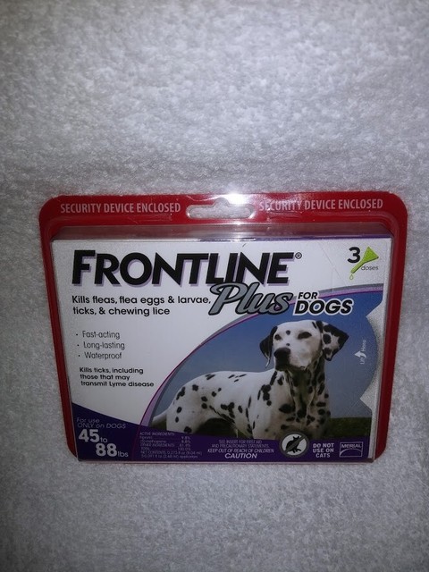 frontline large