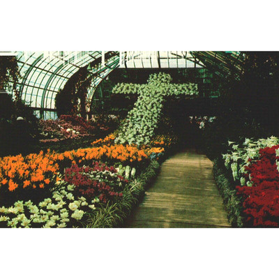 Postcard Ohio Cincinnati Krohn Conservatory Floral Display Chrome Era