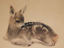 REHKITZ original Radierung von Kurt Meyer-Eberhardt