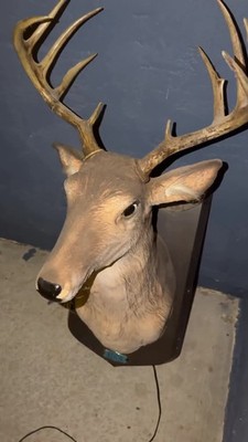 2004 Gemmy 