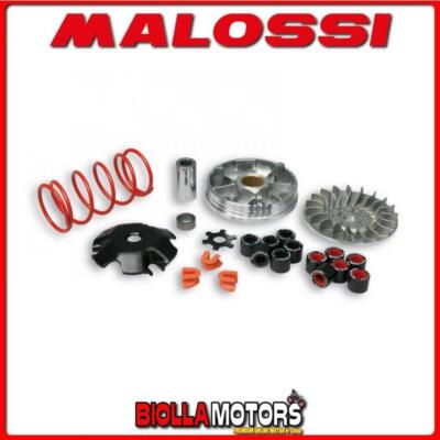 5118678 - 5115823 VARIATOR MALOSSI MHR BETA EIKON 50 2T LC MULTIVAR 2000 -