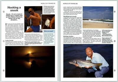 #ad Hooking A Snook World Of Fishing The Art Of Fishing Page GBP 1.49