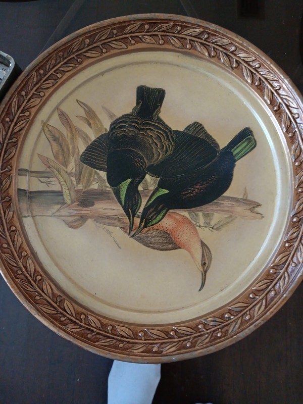 DECORATIVE PLATE porcelain Denoris Albertis Black-Billed Sicklebill Bird 
