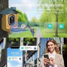Smart Bird Feeder with Camera Solar Powered AI Identify Bird Feeder 2K Live
