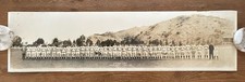 Original 1929 Chicago Cubs Spring Training Baseball Team Panoramic - NL CHAMPS
