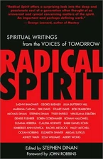 RADICAL SPIRIT: SPIRITUAL WRITINGS FROM THE VOICES OF By Stephen Dinan & John