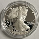U.S. Mint 2006 American Eagle 1 oz Silver Coin 0.999 Proof Uncertified