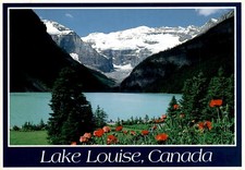 Lake Louise, Canada, Banff National Park, Icelandic Poppies, Shirley Postcard