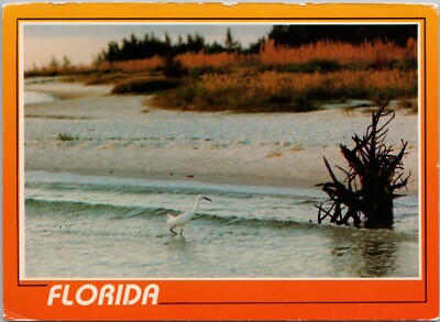 FLORIDA ~ Snowy Egret Wading In The Surf ~ Seaoats In The Distance