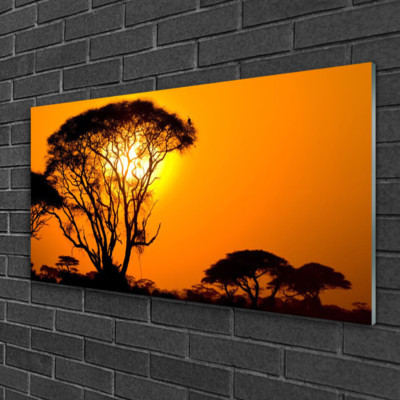 Wandbilder aus Plexiglas  100x50 Acrylglasbild Bäume Sonne Natur