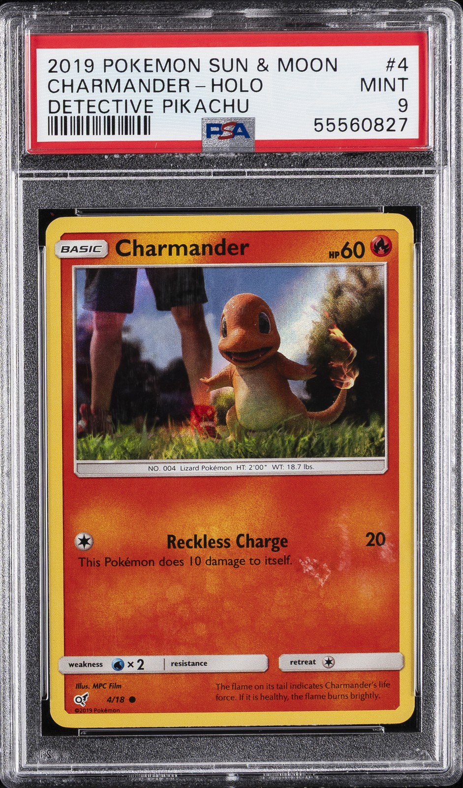 Charmander #4