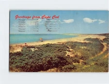 Postcard Wild Roses & Beach View Cape Cod Massachusetts USA